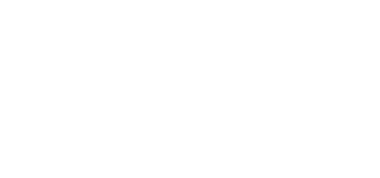 Vision